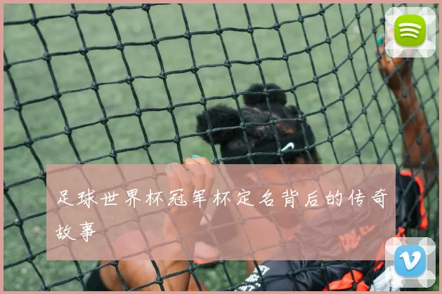 足球世界杯冠军杯定名背后的传奇故事