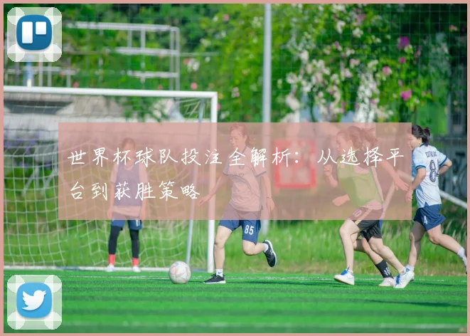世界杯球队投注全解析：从选择平台到获胜策略